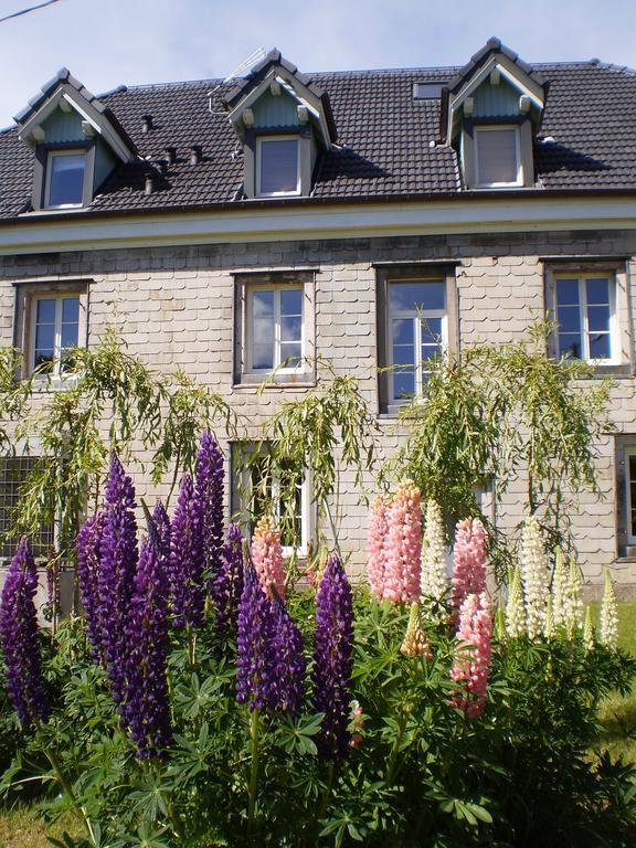 Chambres D'Hotes Le Clos Des Lesses Fresse-sur-Moselle Екстер'єр фото